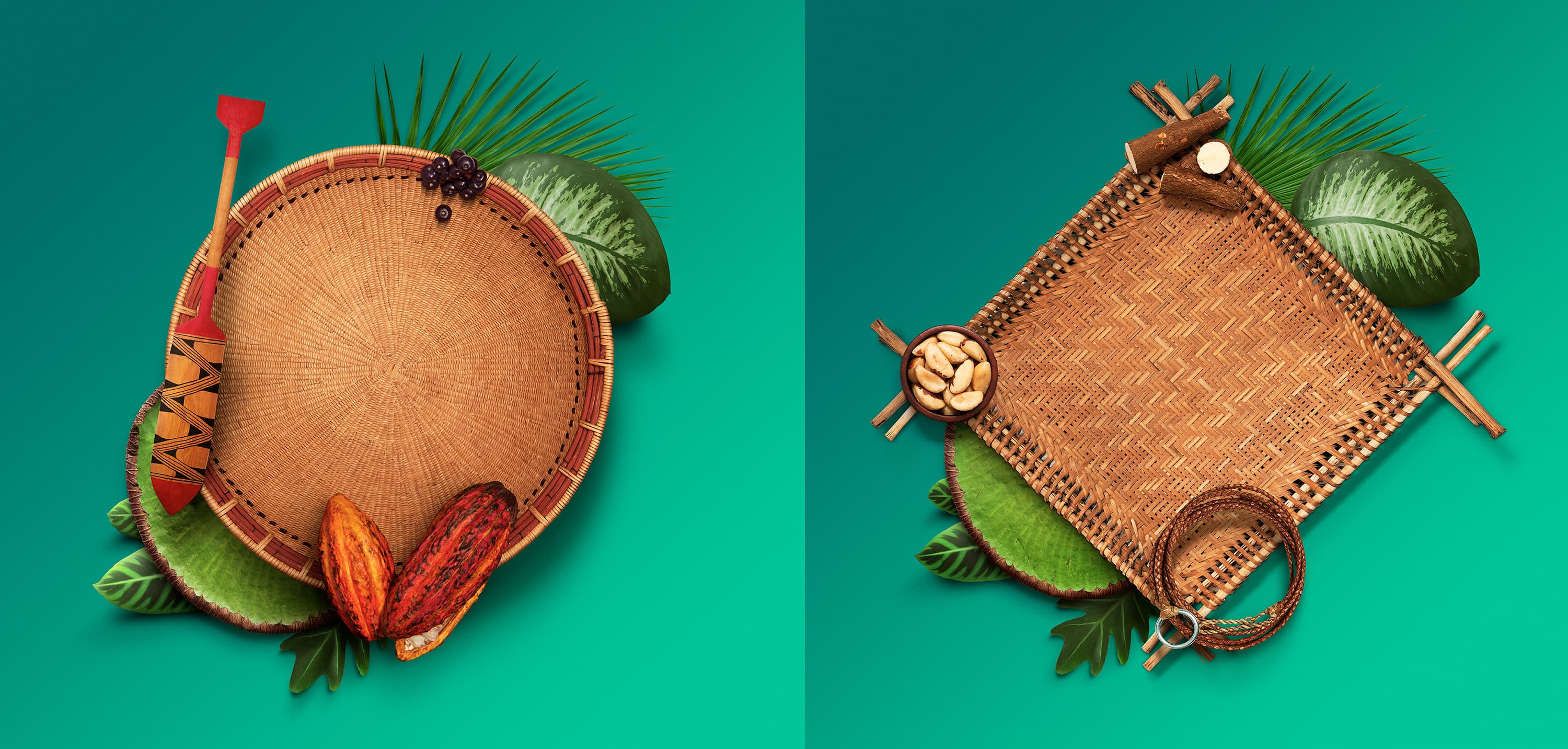 Cliente JBS - Campanha Fundo JBS pela Amazônia - Agência WMcCann